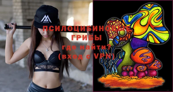 ешки Фурманов