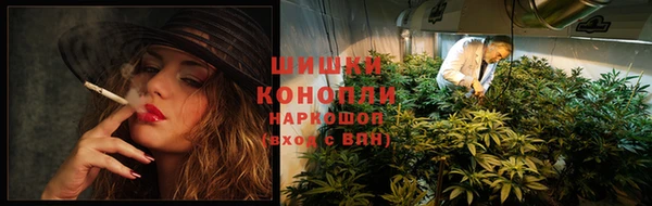 дурь Рославль